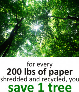 for every 200lbs of paper shredded and recycled, you save one tree